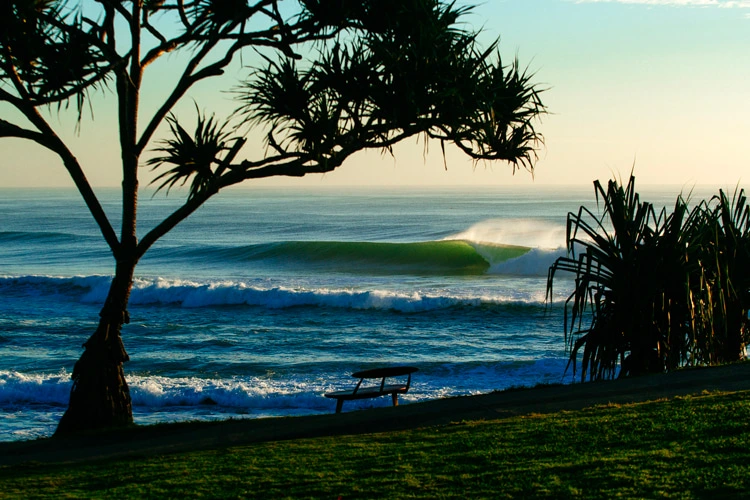 Snapper Rocks rights