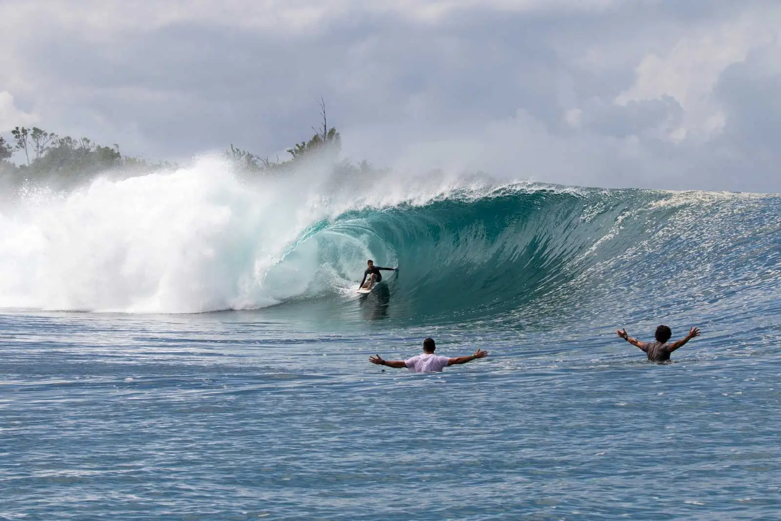 Classic Greenbush barrel